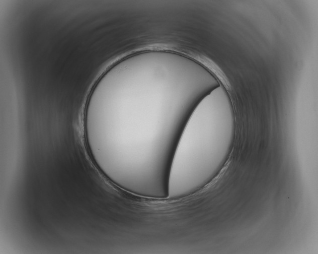 X0000102261436200807250829