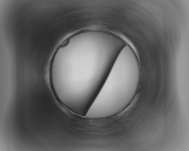 X0000102261437200807250829