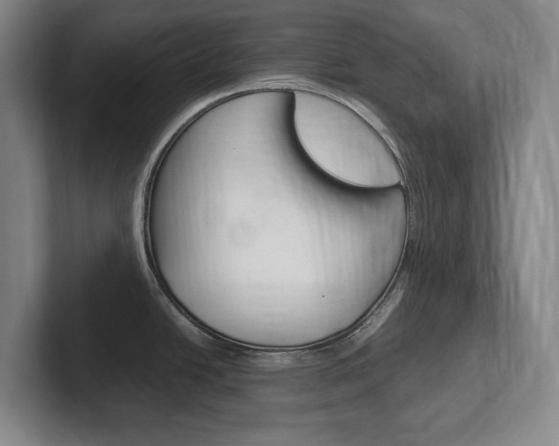 X0000102261438200807250829