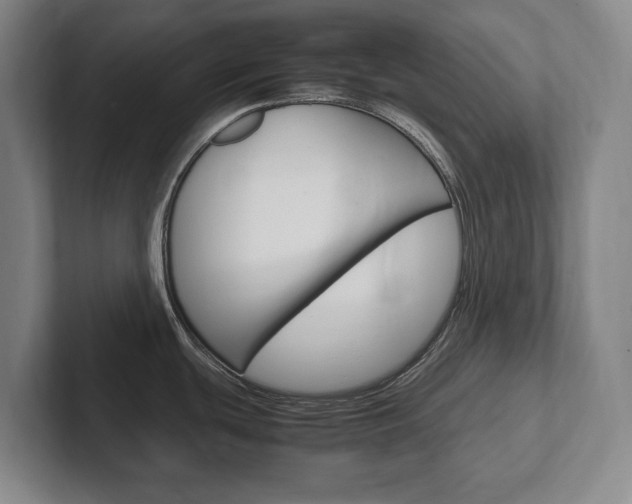X0000102261439200807250829