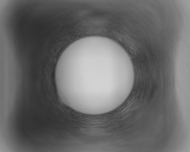 X0000102261441200807250828