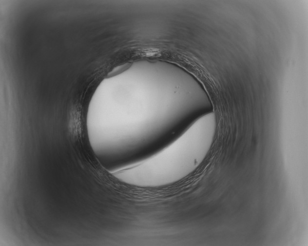 X0000102261442200807250828