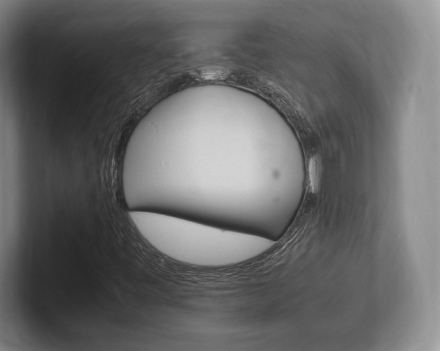 X0000102261443200807250828
