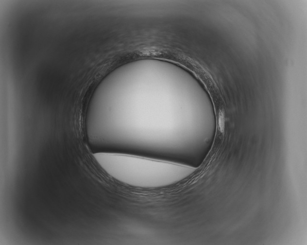 X0000102261444200807250828