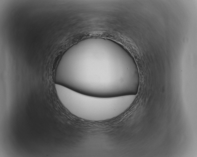 X0000102261445200807250828