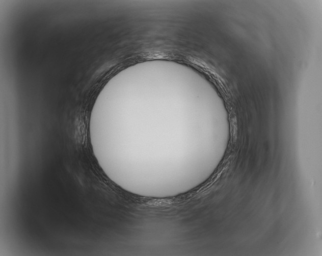X0000102261446200807250828