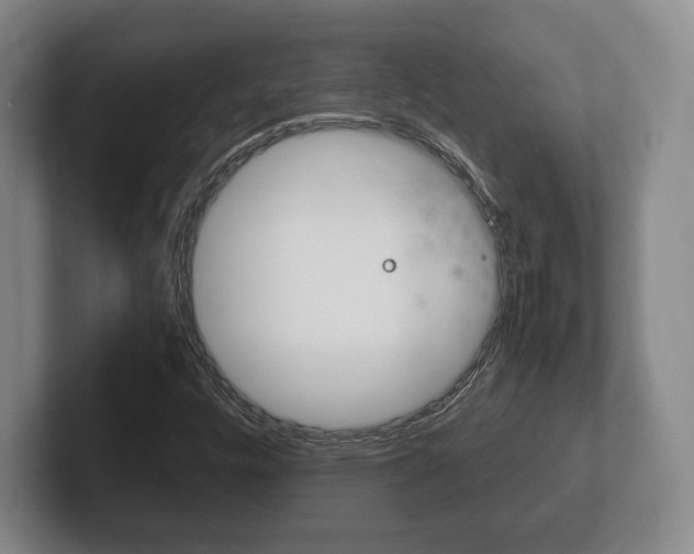 X0000102261448200807250828