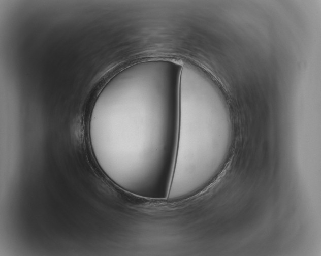 X0000102261450200807250828