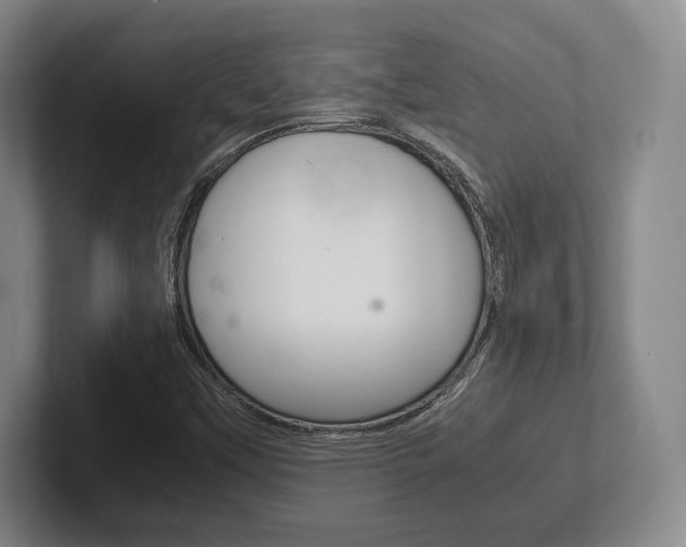 X0000102261451200807250828