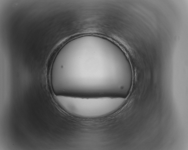 X0000102261452200807250828