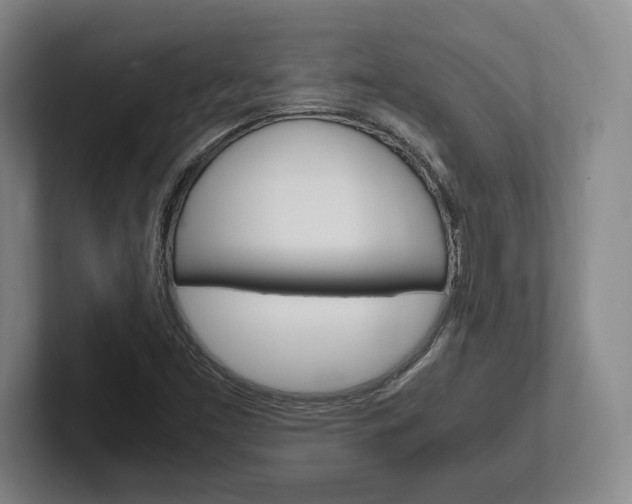 X0000102261453200807250828