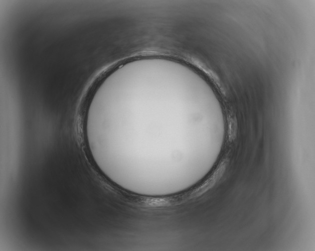X0000102261454200807250828