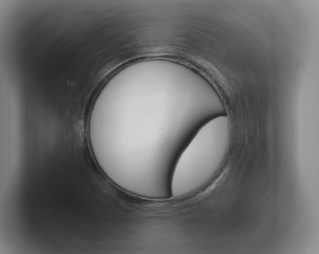 X0000102261457200807250828