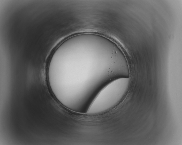 X0000102261460200807250828
