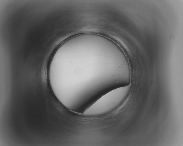 X0000102261461200807250828