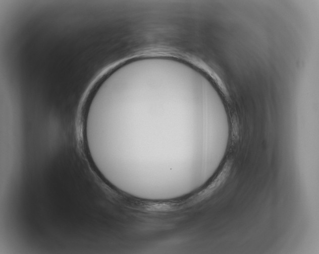X0000102261462200807250828