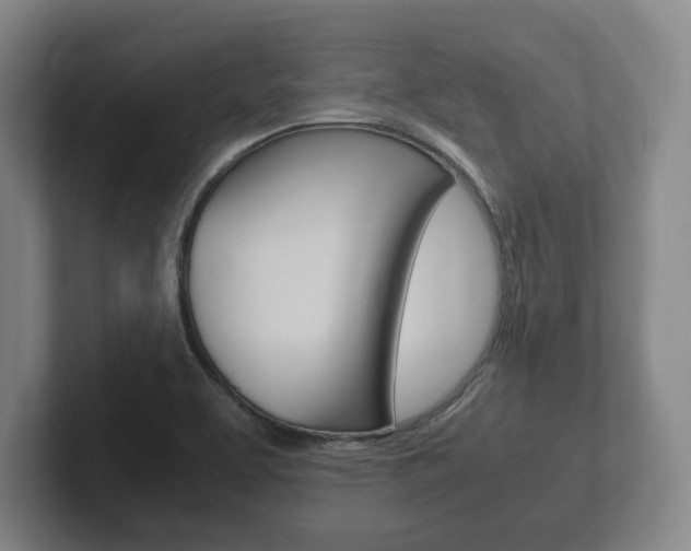 X0000102261463200807250828