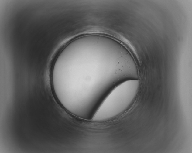 X0000102261464200807250828