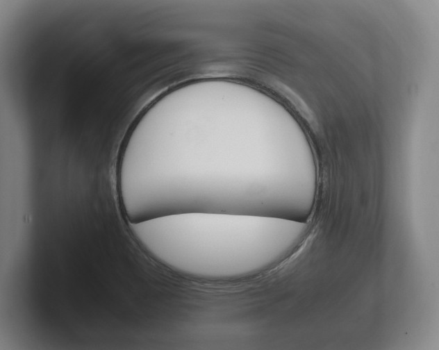 X0000102261465200807250828