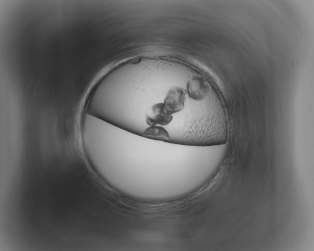 X0000102261467200807250828