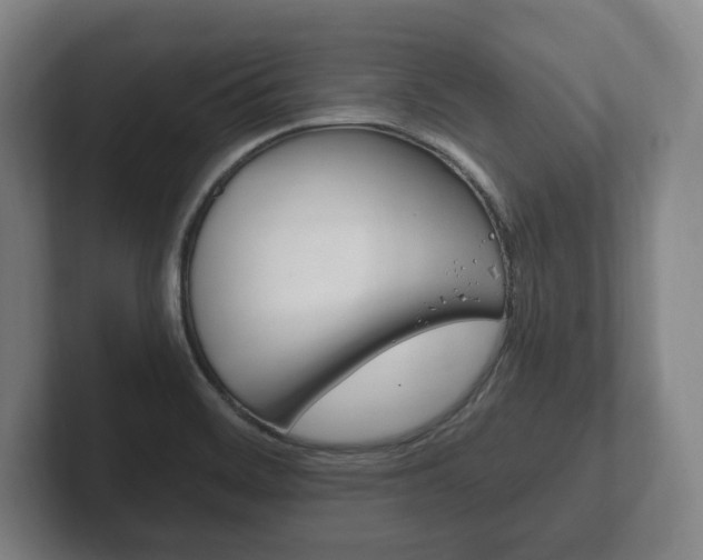 X0000102261468200807250828