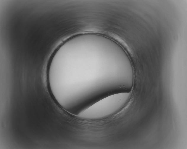 X0000102261469200807250828