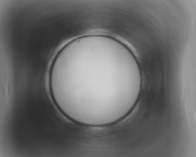 X0000102261470200807250828