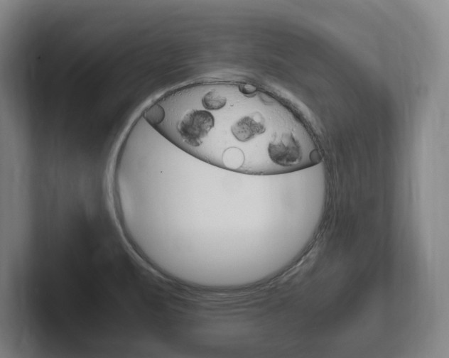 X0000102261471200807250828