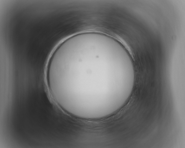 X0000102261472200807250828
