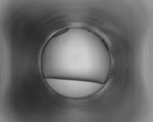 X0000102261473200807250828