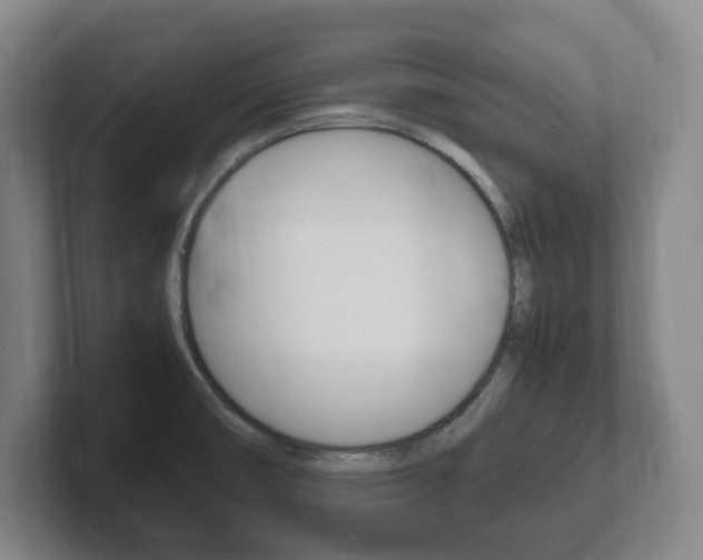 X0000102261474200807250828