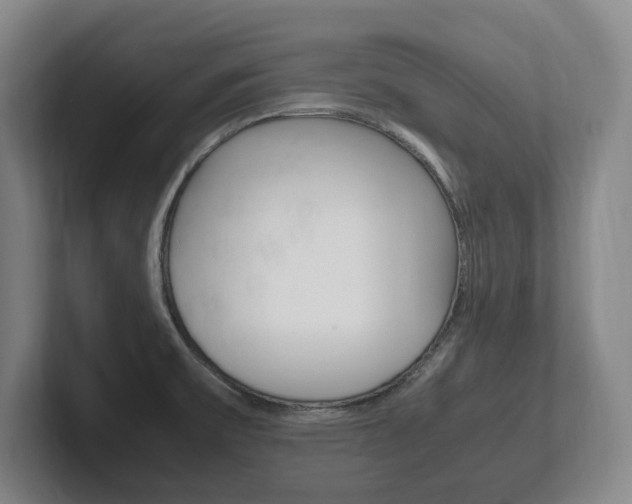 X0000102261475200807250828