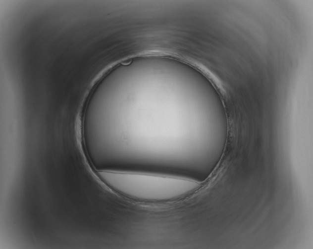 X0000102261476200807250828