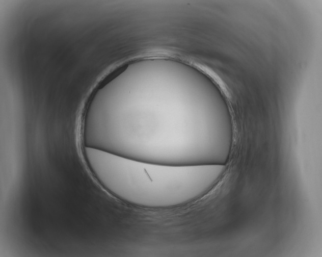 X0000102261477200807250828