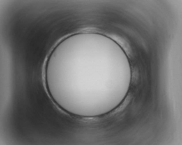 X0000102261478200807250828