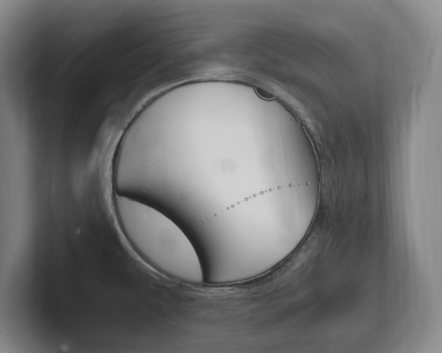 X0000102261479200807250828
