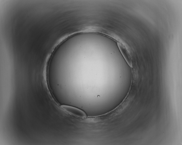 X0000102261480200807250828