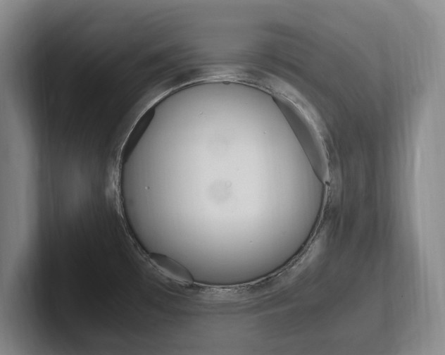 X0000102261481200807250828