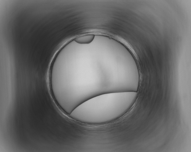 X0000102261482200807250828