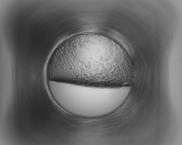 X0000102261483200807250828