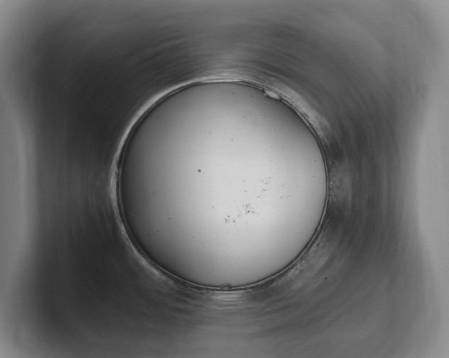 X0000102261484200807250828