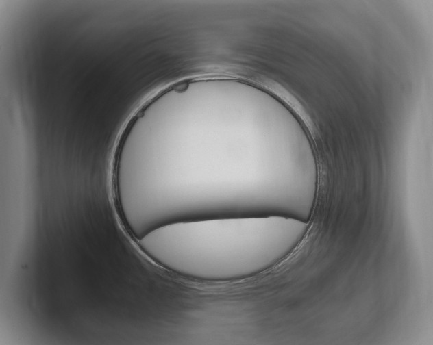 X0000102261485200807250828