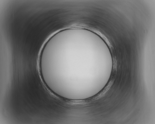 X0000102261486200807250828