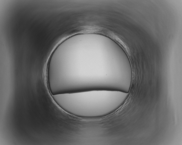 X0000102261487200807250828