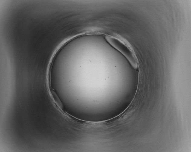 X0000102261488200807250828