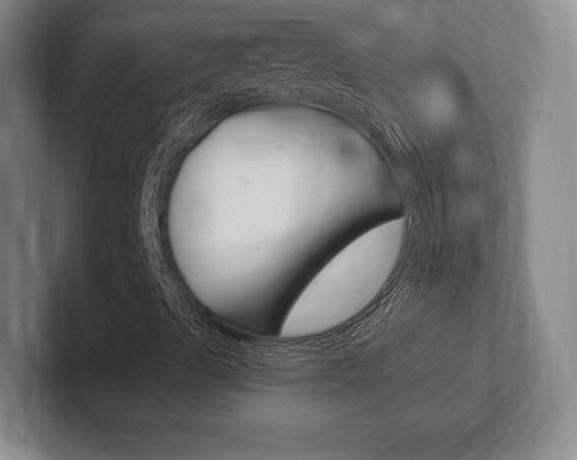 X0000102261489200807250827