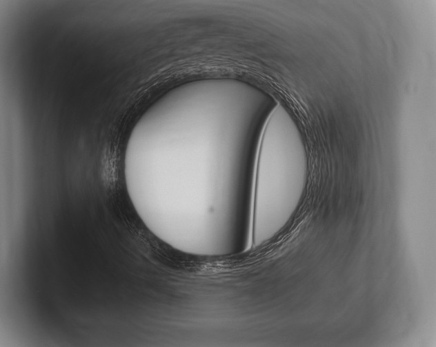 X0000102261490200807250827