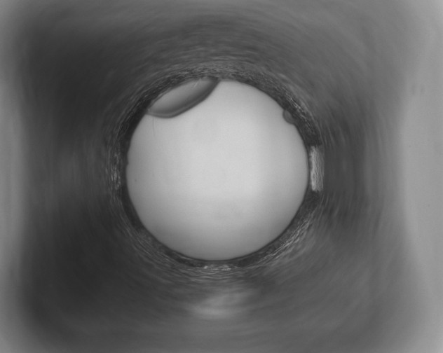X0000102261491200807250827