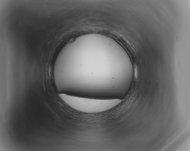 X0000102261492200807250827