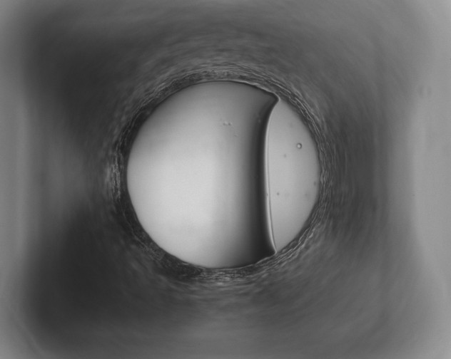 X0000102261493200807250827